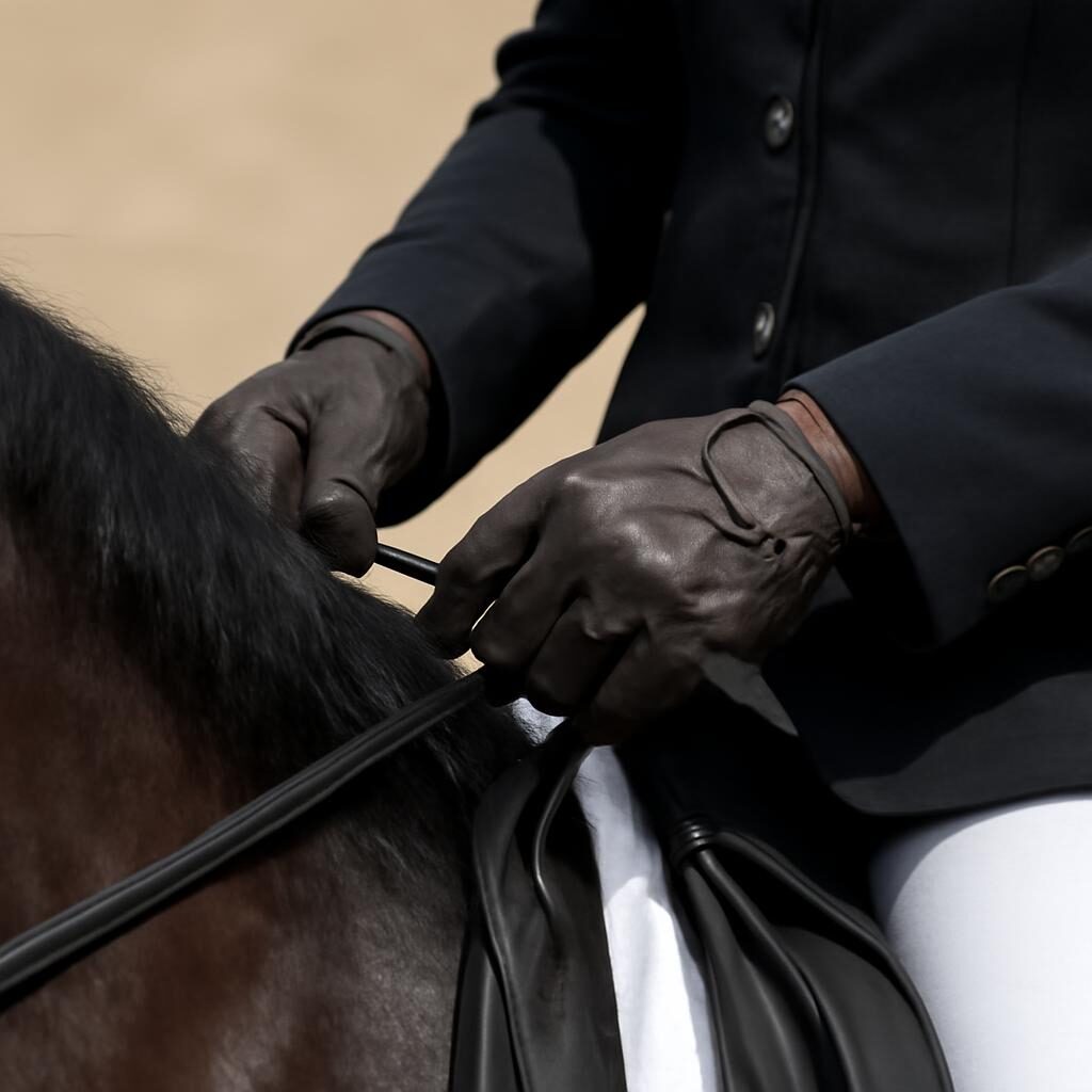 Mains du cavalier : contact leger et juste