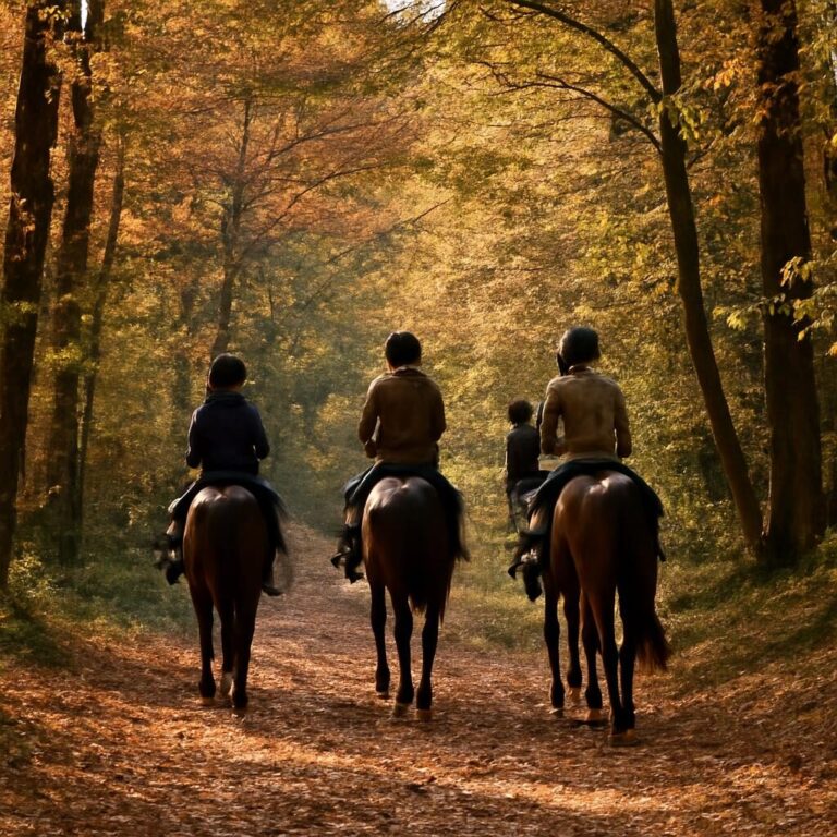 Randonnée équestre : préparation du couple cavalier-cheval